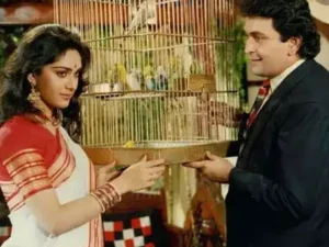 Meenakshi Seshadri and Rishi in Damini