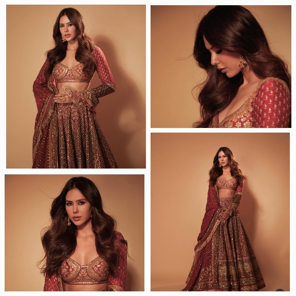 Sonam Bajwa Outshines at Ambani celebrations